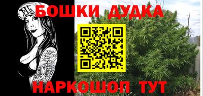 ПСИЛОЦИБИНОВЫЕ ГРИБЫ Гусев