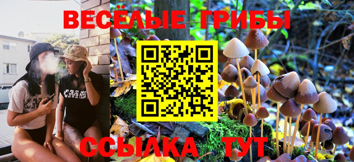 Псилоцибиновые грибы Psilocybe  Псилоцибиновые грибы мицелий  Вход с VPN  Клин 