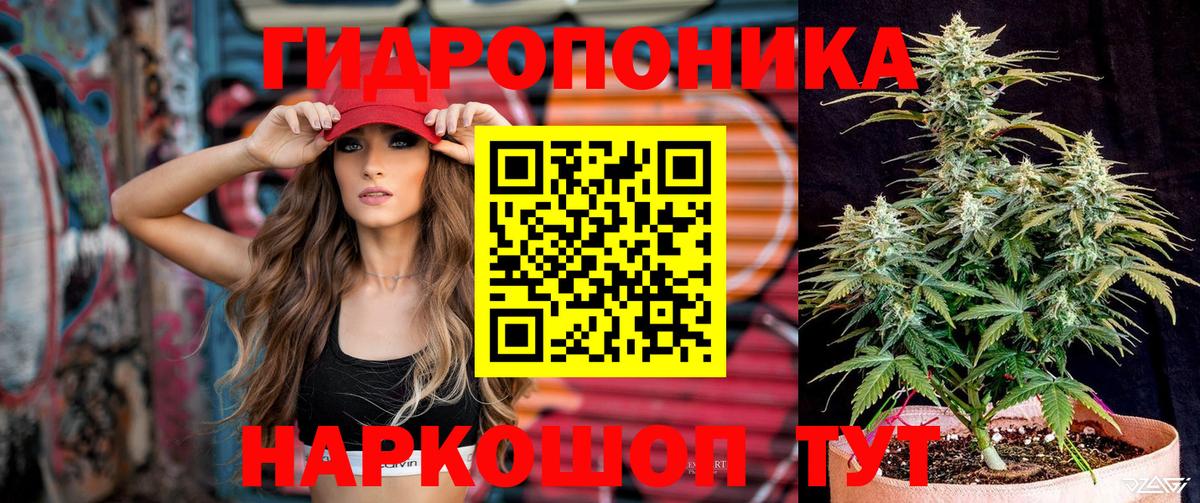Шишки марихуана семена  Бошки Шишки планчик  Шишки марихуана гибрид  Вход с VPN  Клин 